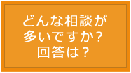 相談の内容 相談の内容
